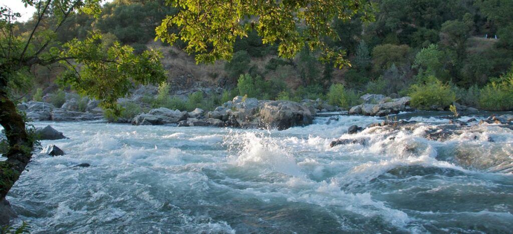 The Tennessean | Protecting East Tennessee’s Piney River is good for nature and the economy