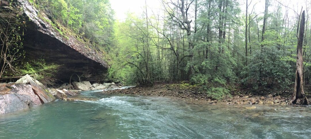 ABC News Channel 9: Tennessee Wildlife Federation presents conservation awards