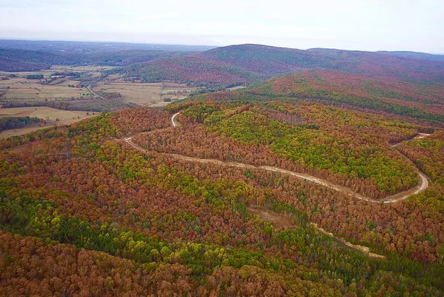 TennGreen: TennGreen Awarded Federal Grant from the National Fish and Wildlife Federation to Enhance Coal and Whites Creek Headwaters