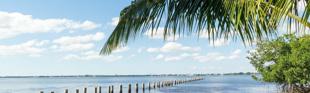 How to Protect the Everglades