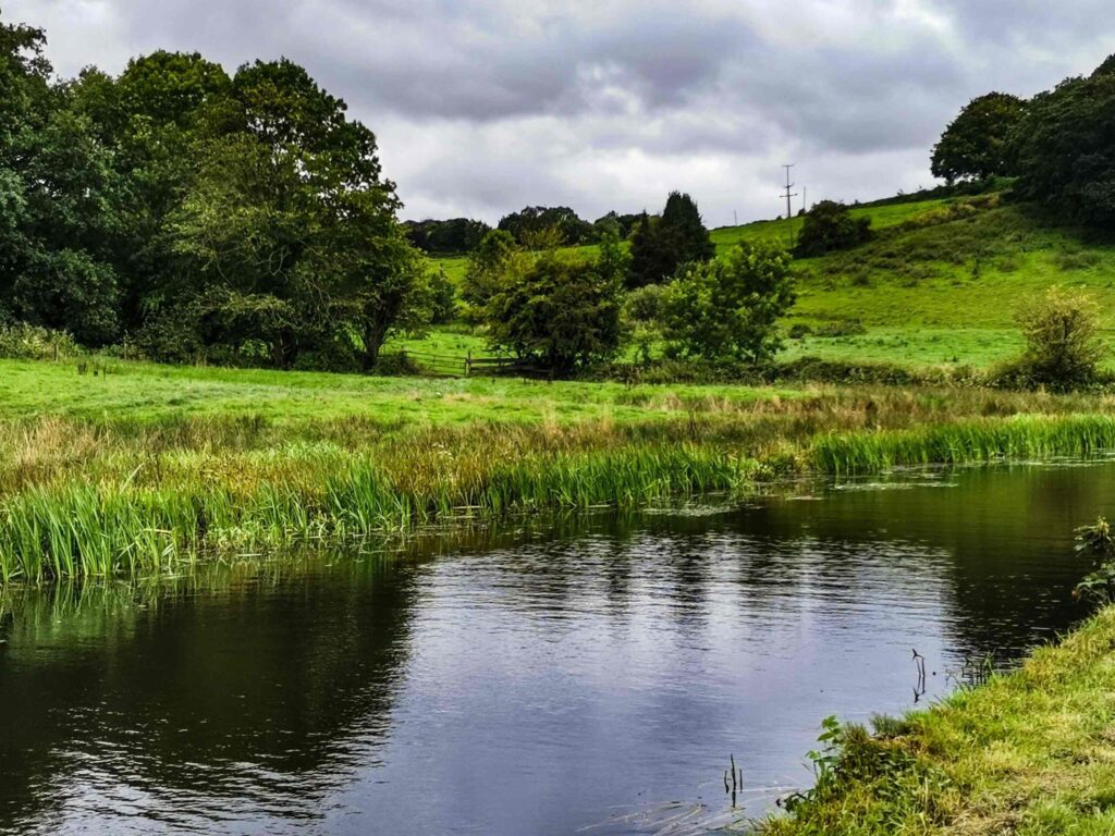 Beginning Farmers | The Farm Watering Hole – The Right Pond in the Right Place for the Right Purpose