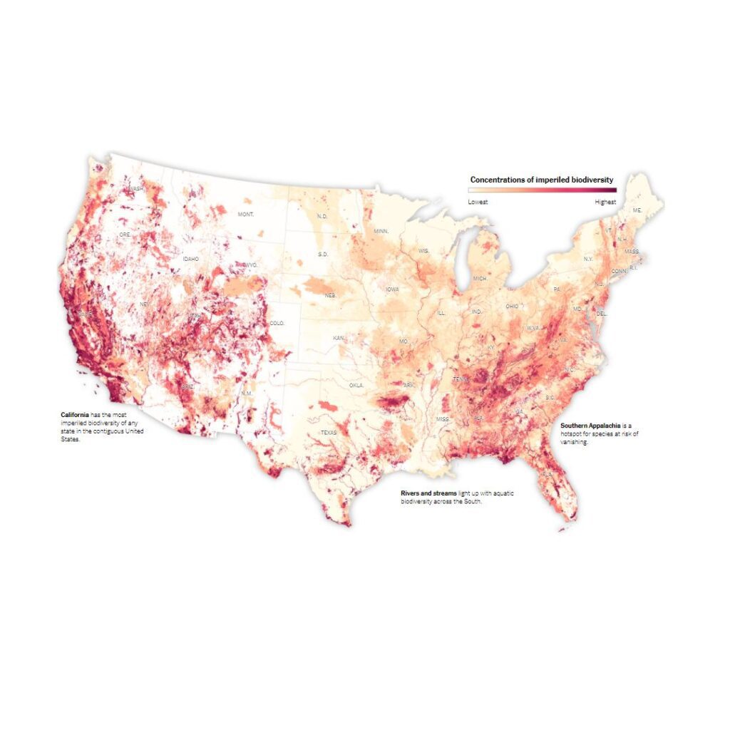 New York Times Highlights Species Diversity