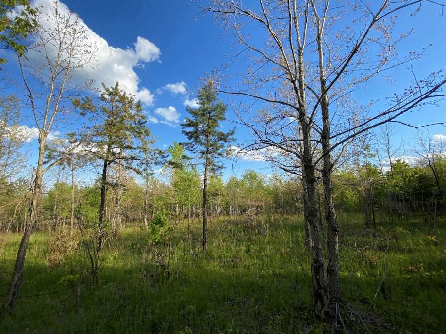 Welcome to Coal Creek Farm’s Biodiversity Study