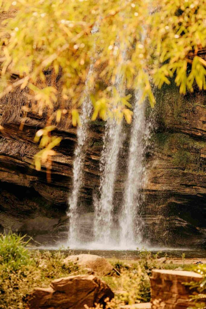 Landscapes like people get stressed.