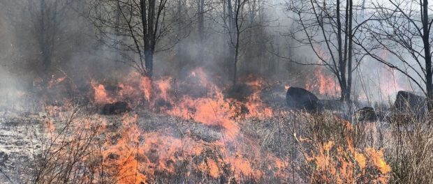 Beginning Farmers | Controlled Burns on the Farm