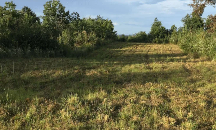 Grassland and Rangeland